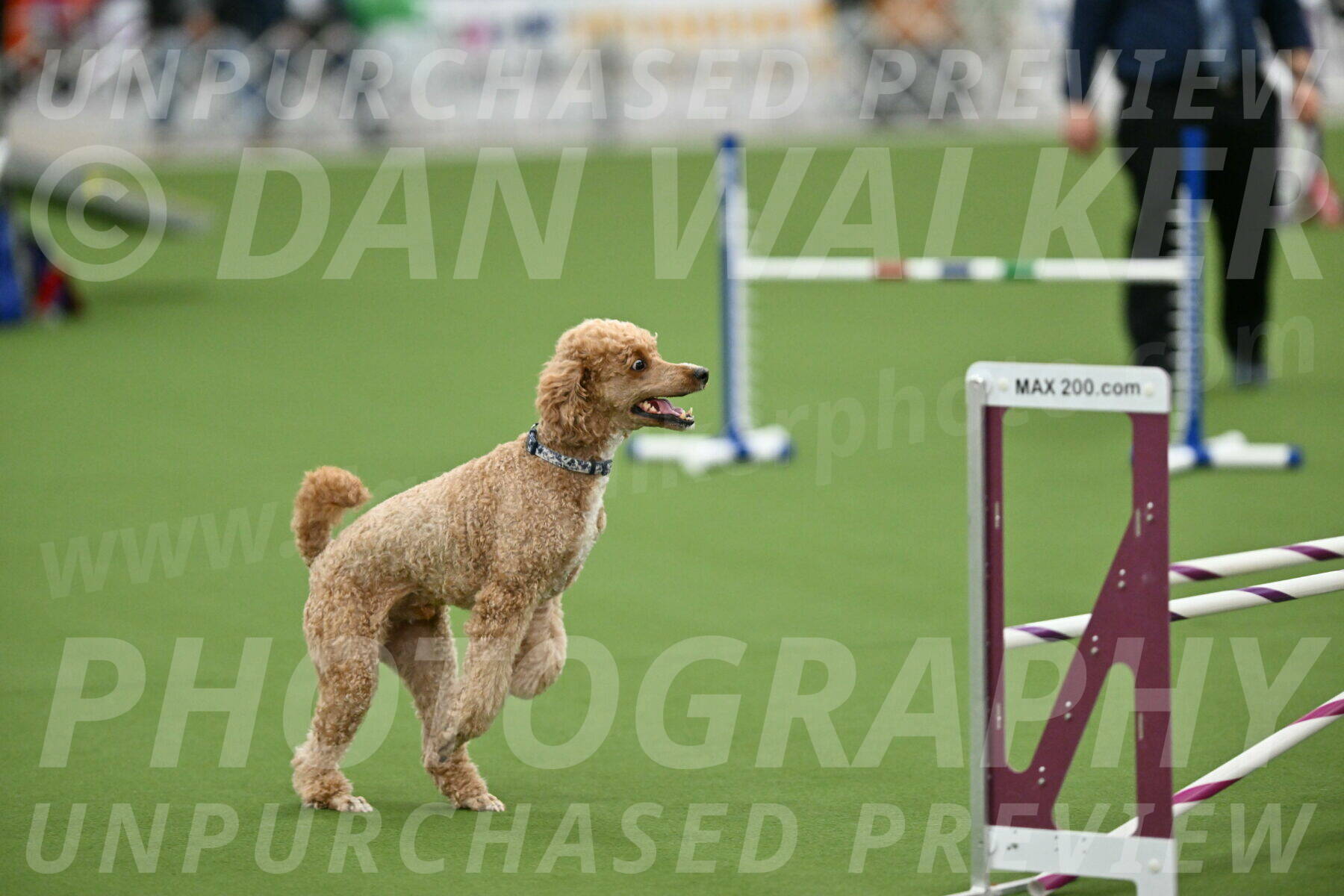 MAS-EX-STD-20-Inch_7055