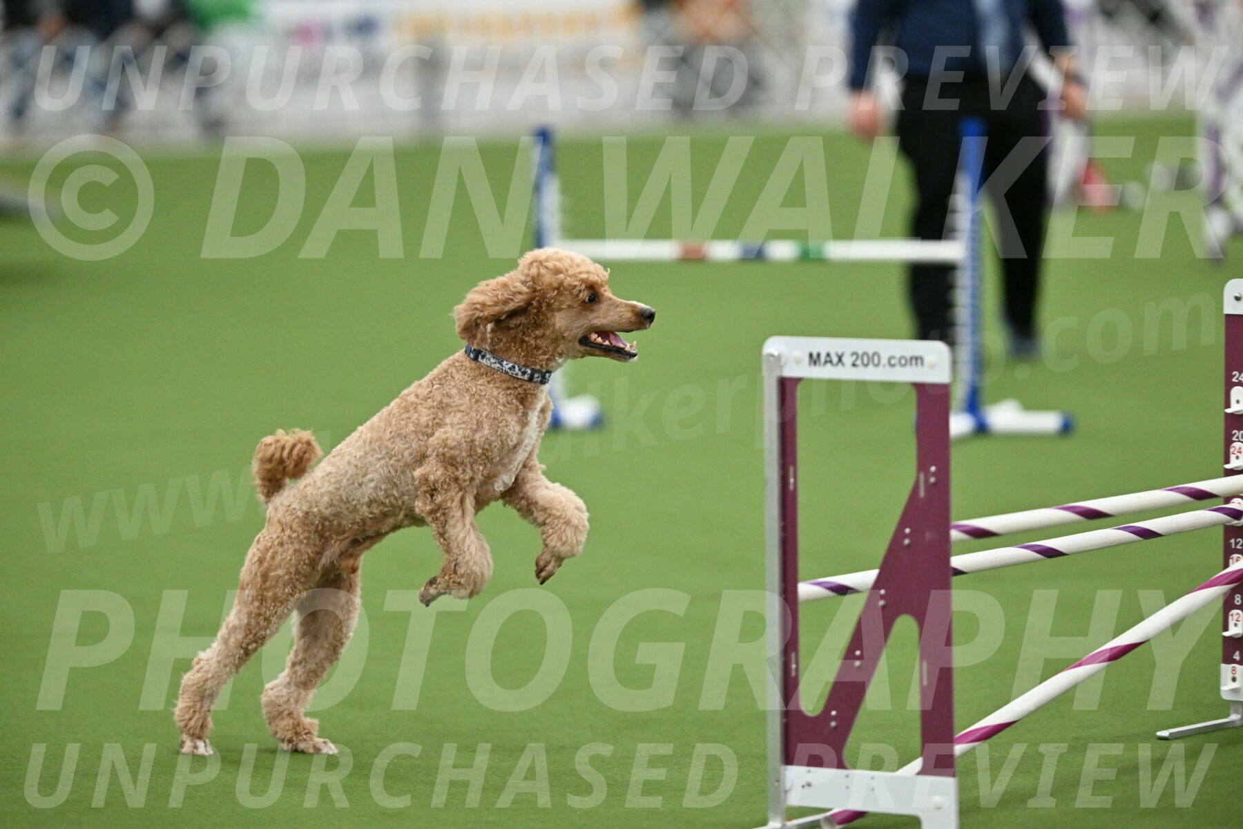 MAS-EX-STD-20-Inch_7056