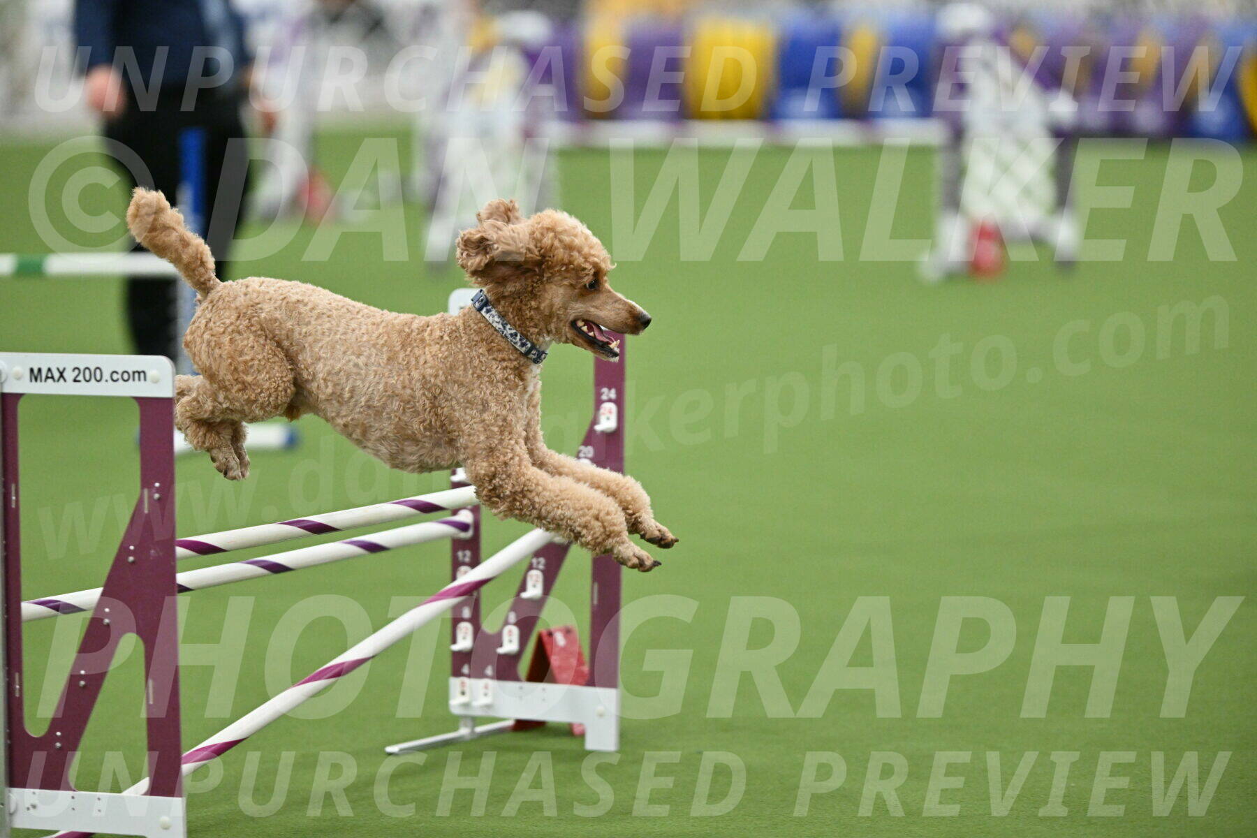 MAS-EX-STD-20-Inch_7062