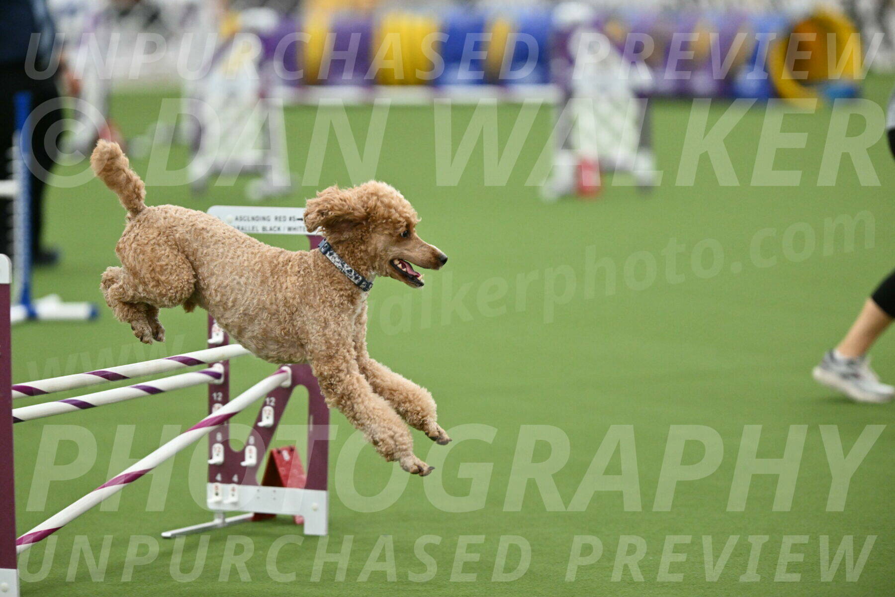 MAS-EX-STD-20-Inch_7063