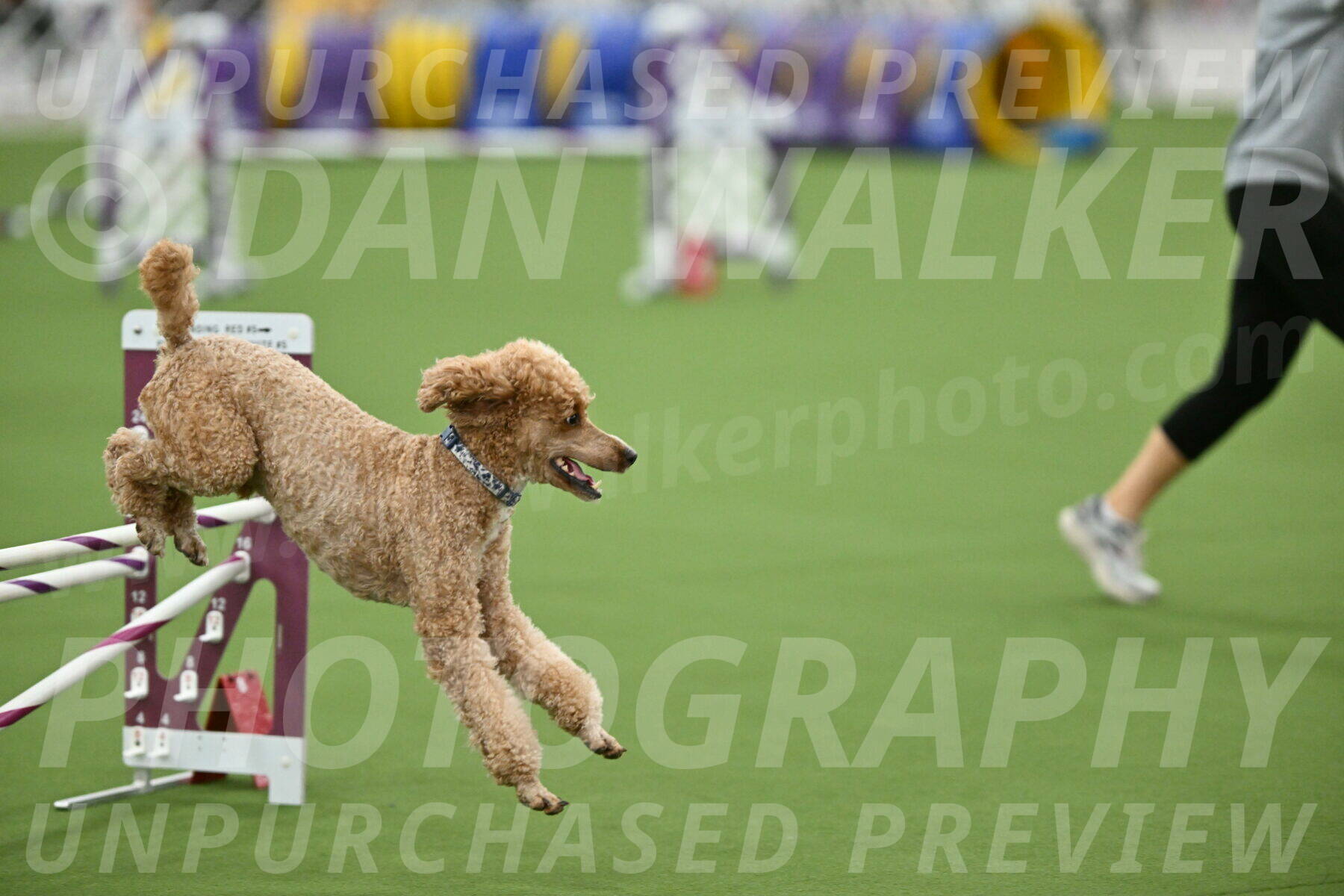 MAS-EX-STD-20-Inch_7064