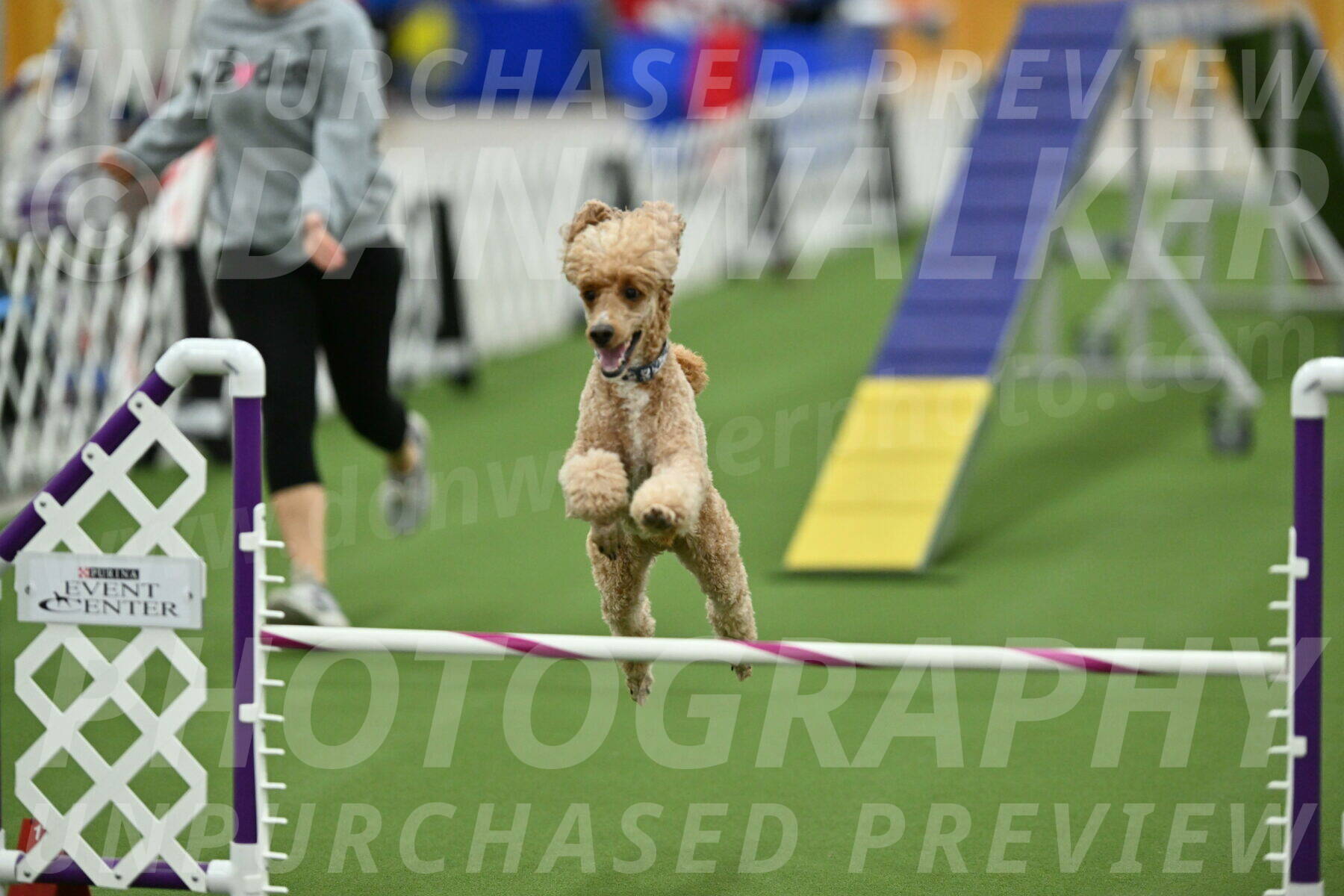 MAS-EX-STD-20-Inch_7074