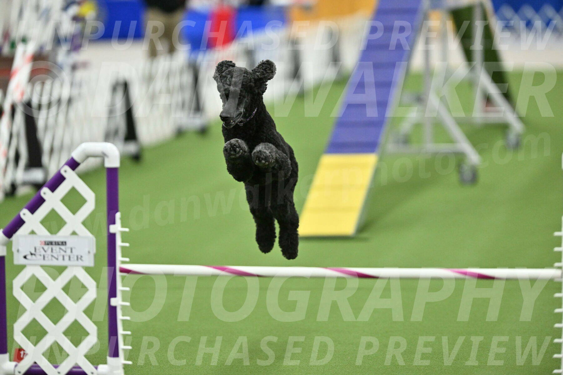 MAS-EX-STD-20-Inch_7651