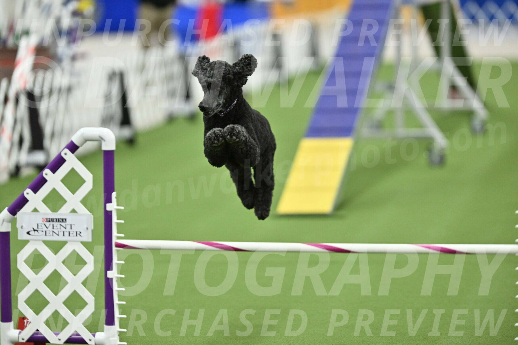 MAS-EX-STD-20-Inch_7652