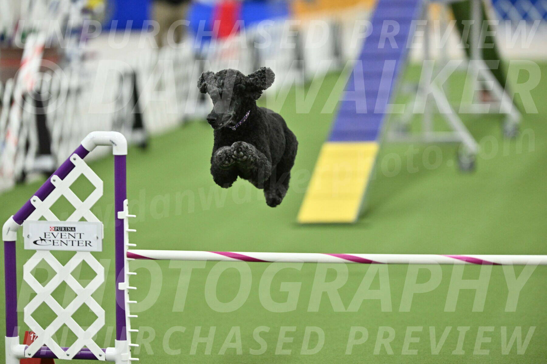 MAS-EX-STD-20-Inch_7653