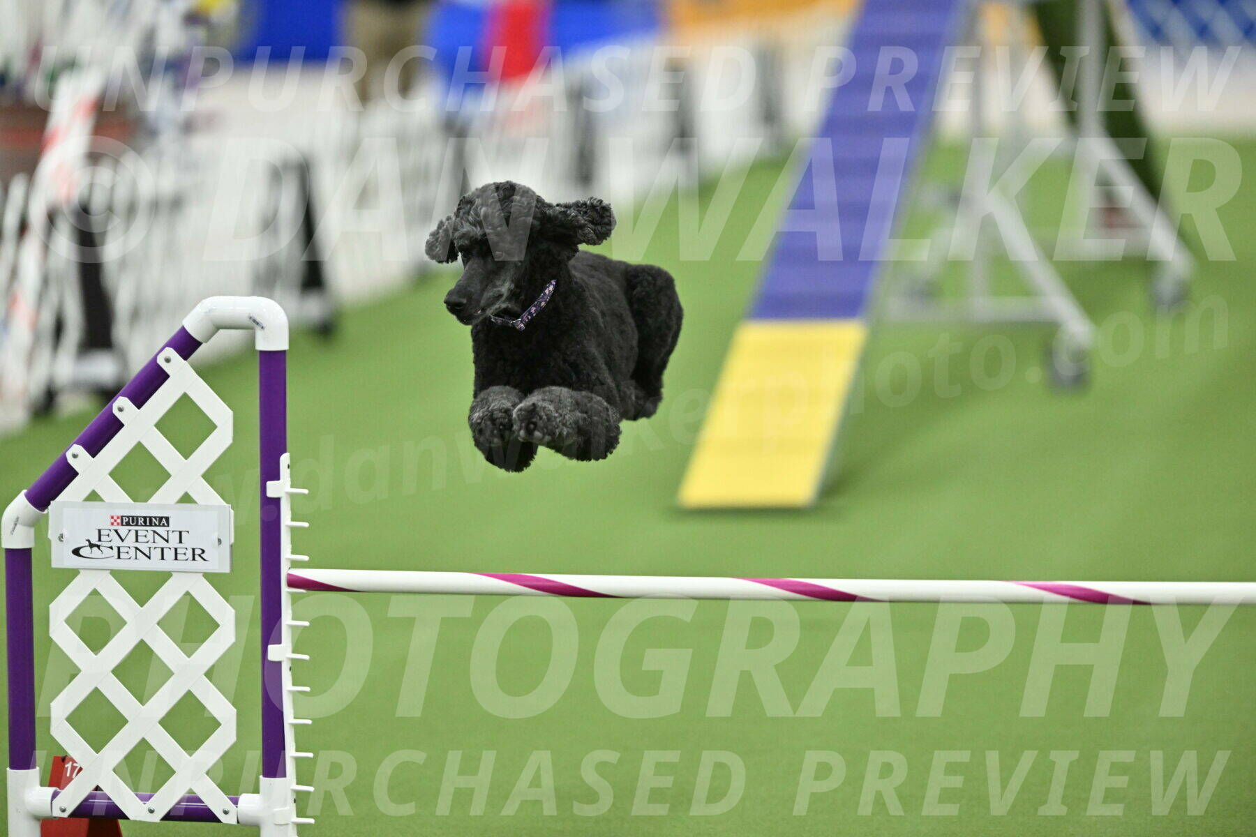 MAS-EX-STD-20-Inch_7654