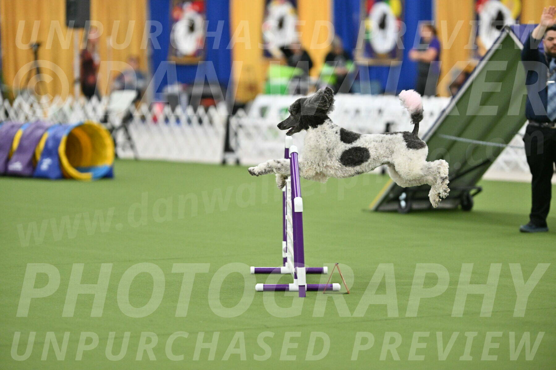 MAS-EX-STD-20-Inch_7671