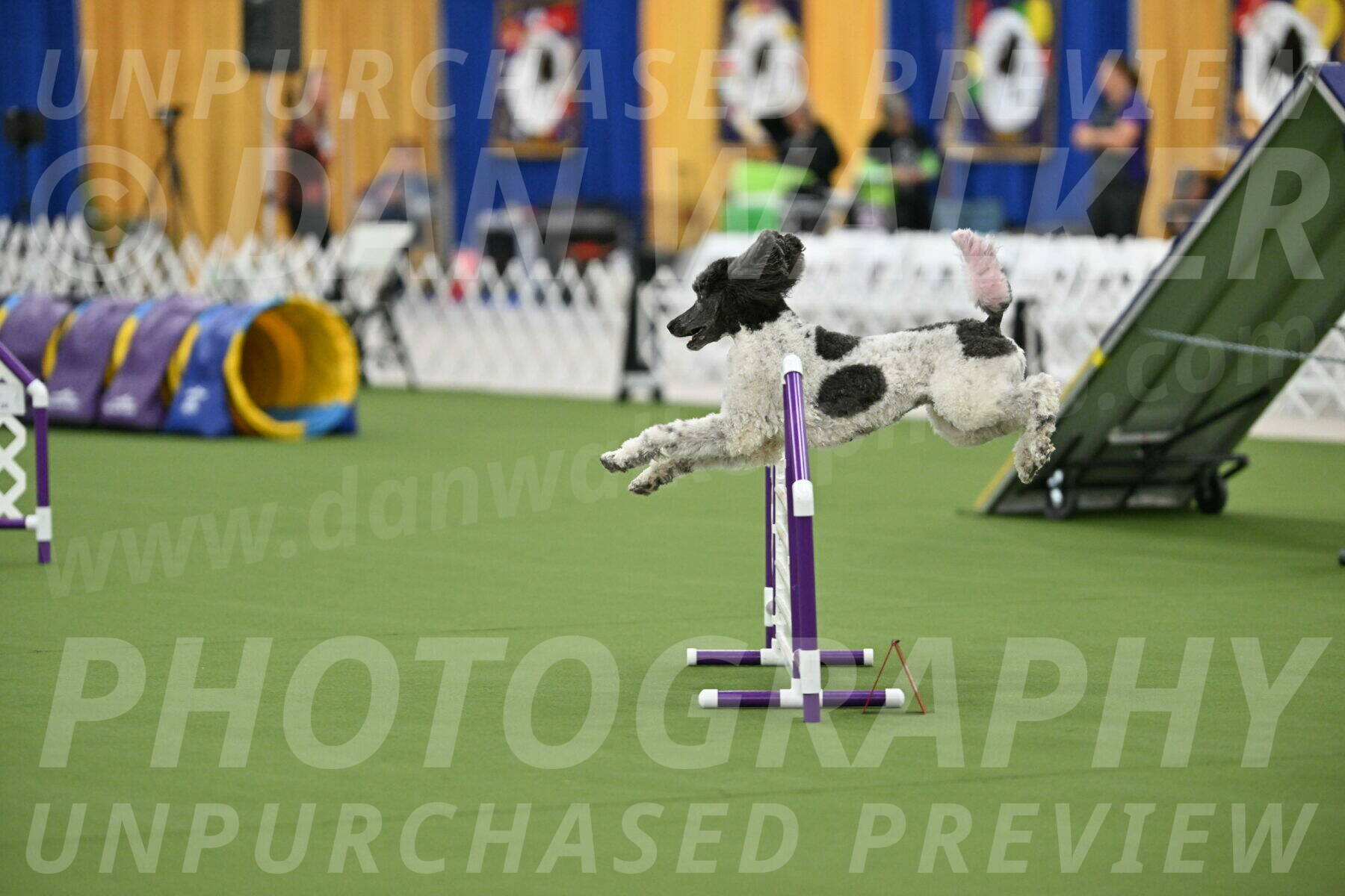 MAS-EX-STD-20-Inch_7672