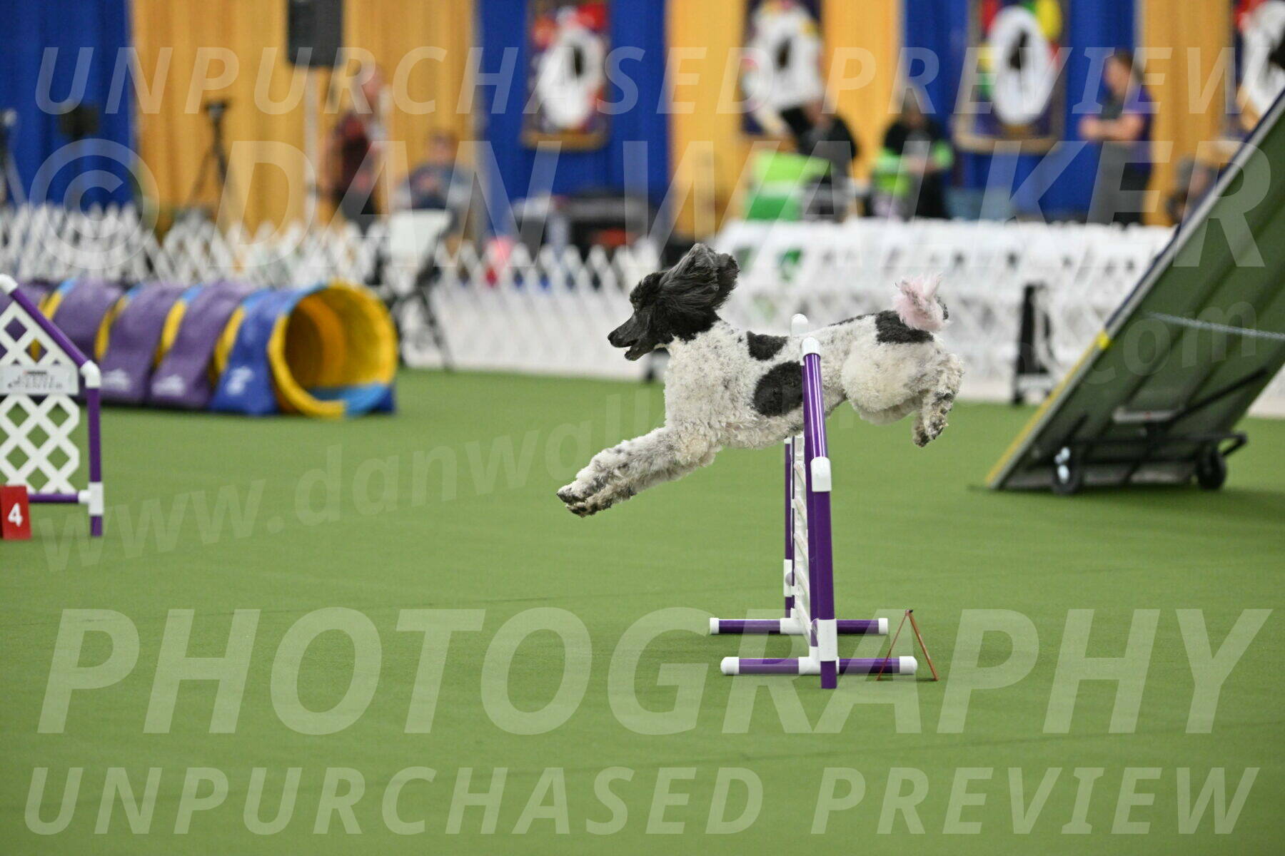 MAS-EX-STD-20-Inch_7673