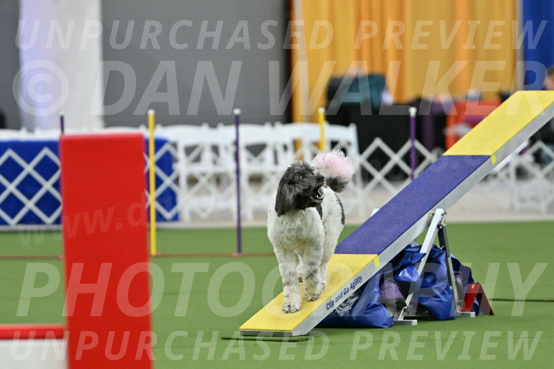 MAS-EX-STD-20-Inch_7676