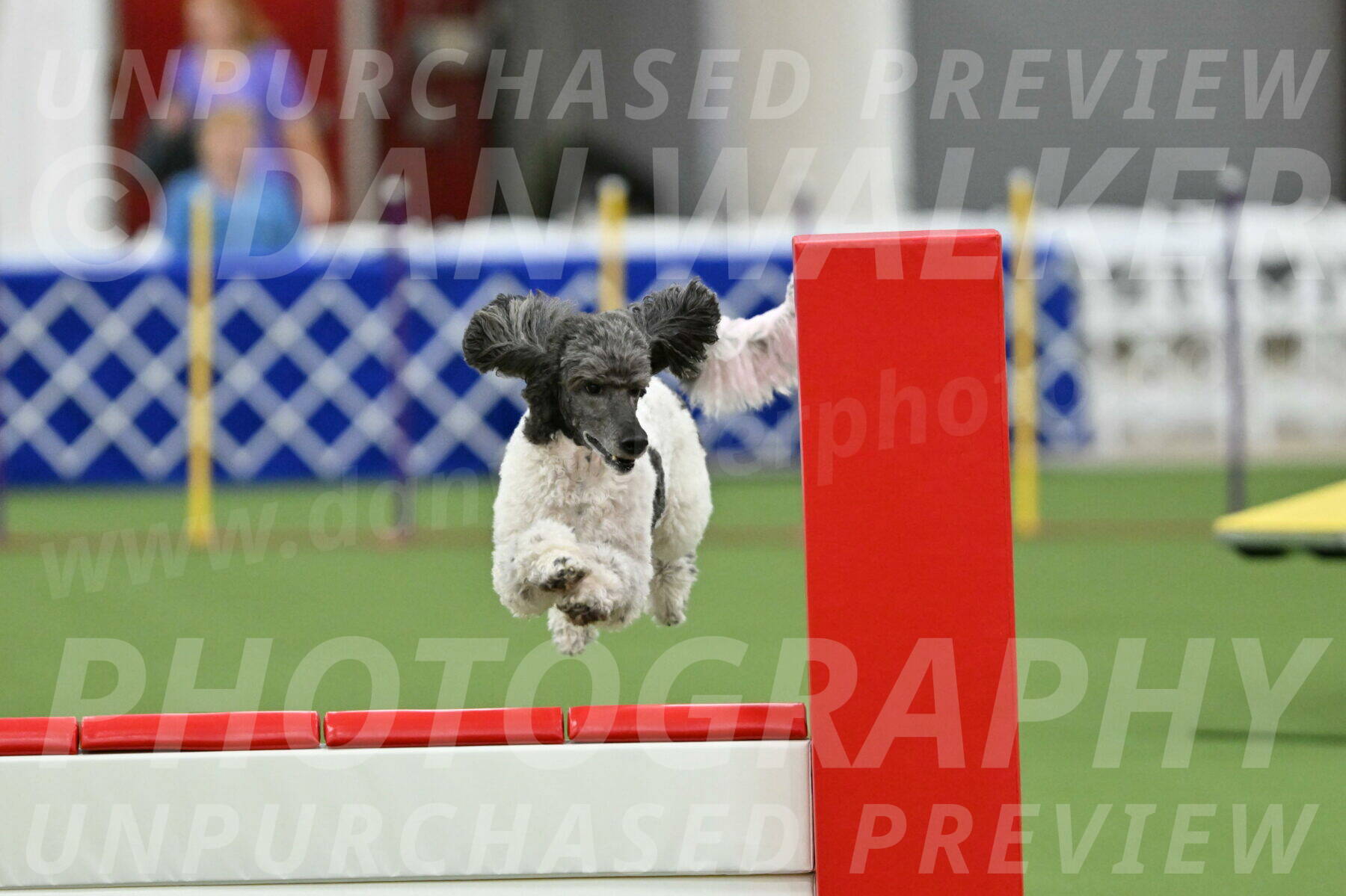 MAS-EX-STD-20-Inch_7686