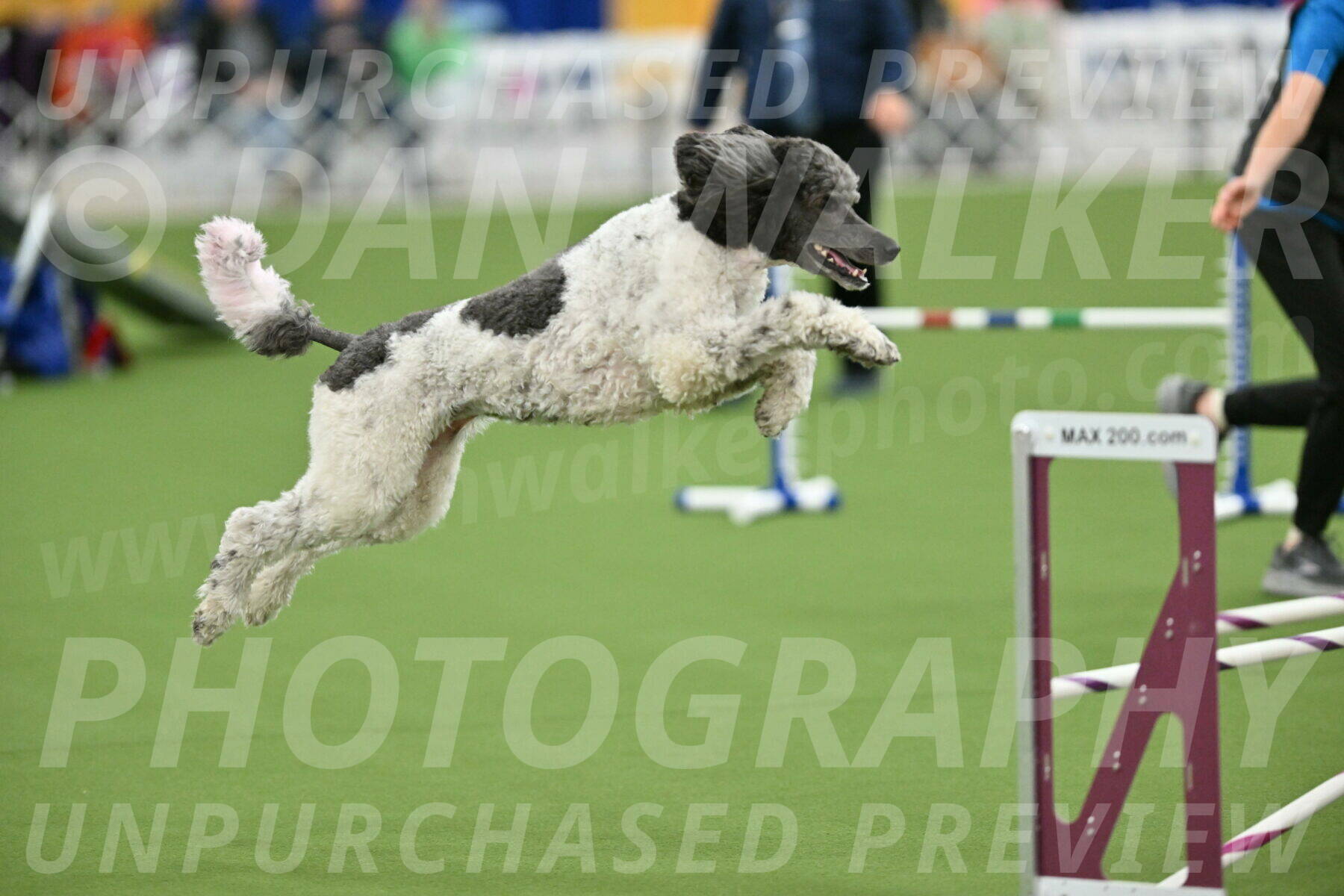 MAS-EX-STD-20-Inch_7689