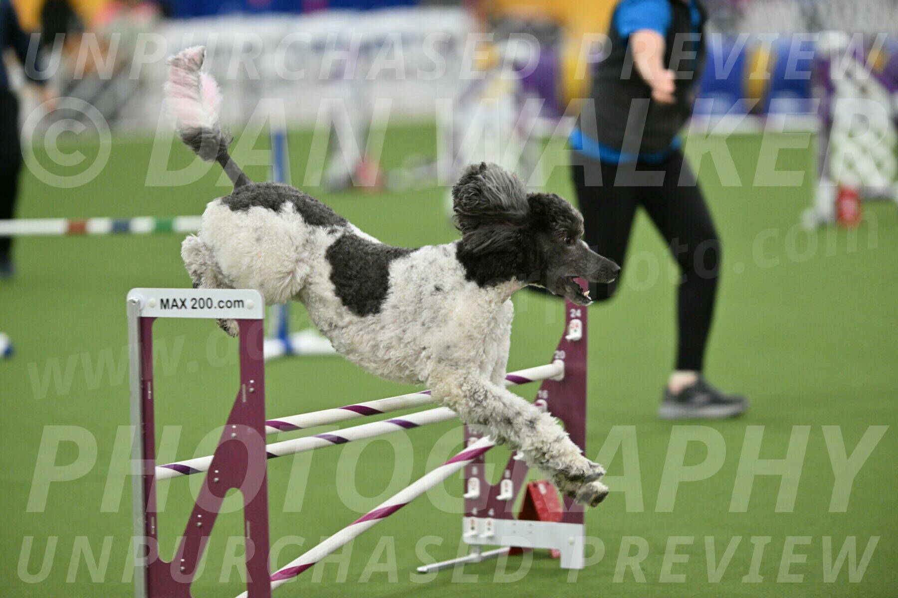 MAS-EX-STD-20-Inch_7695