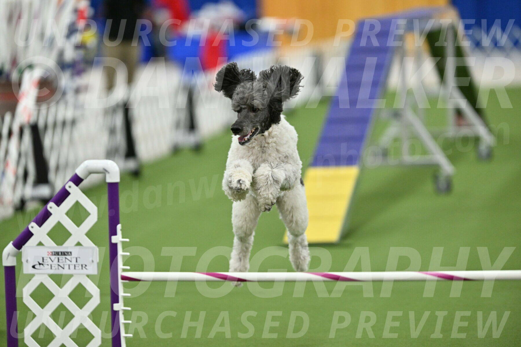 MAS-EX-STD-20-Inch_7724