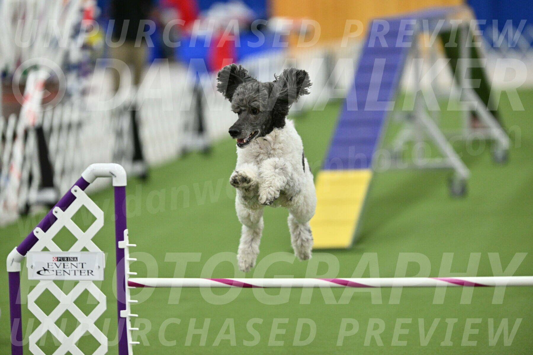 MAS-EX-STD-20-Inch_7725