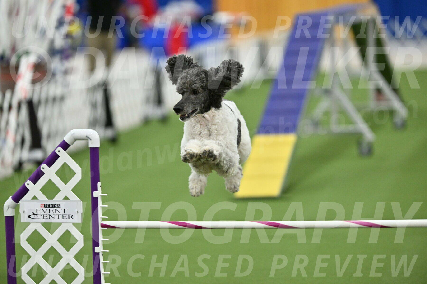 MAS-EX-STD-20-Inch_7726