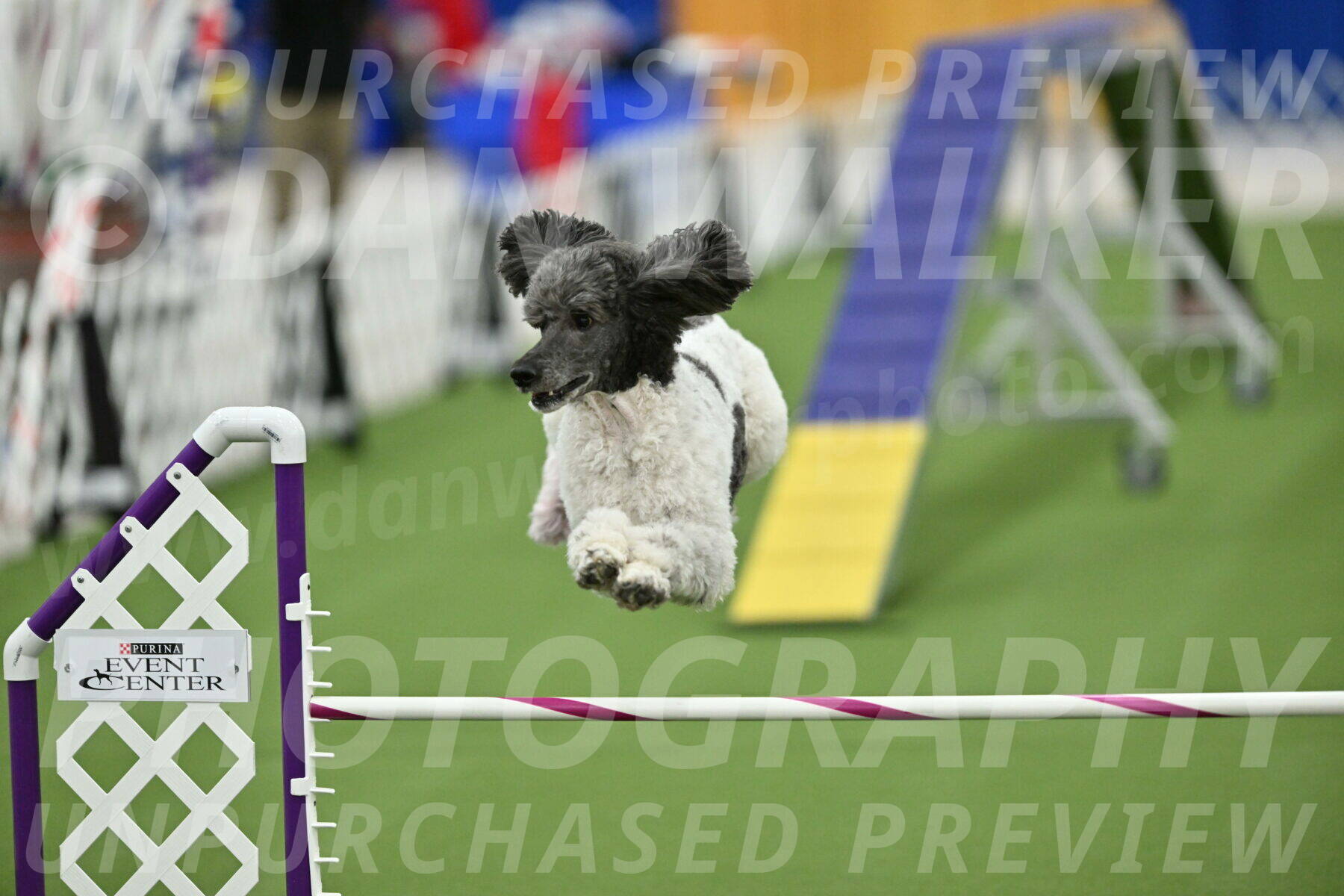 MAS-EX-STD-20-Inch_7727