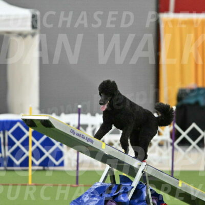 MAS-EX-STD-24-Inch_7730