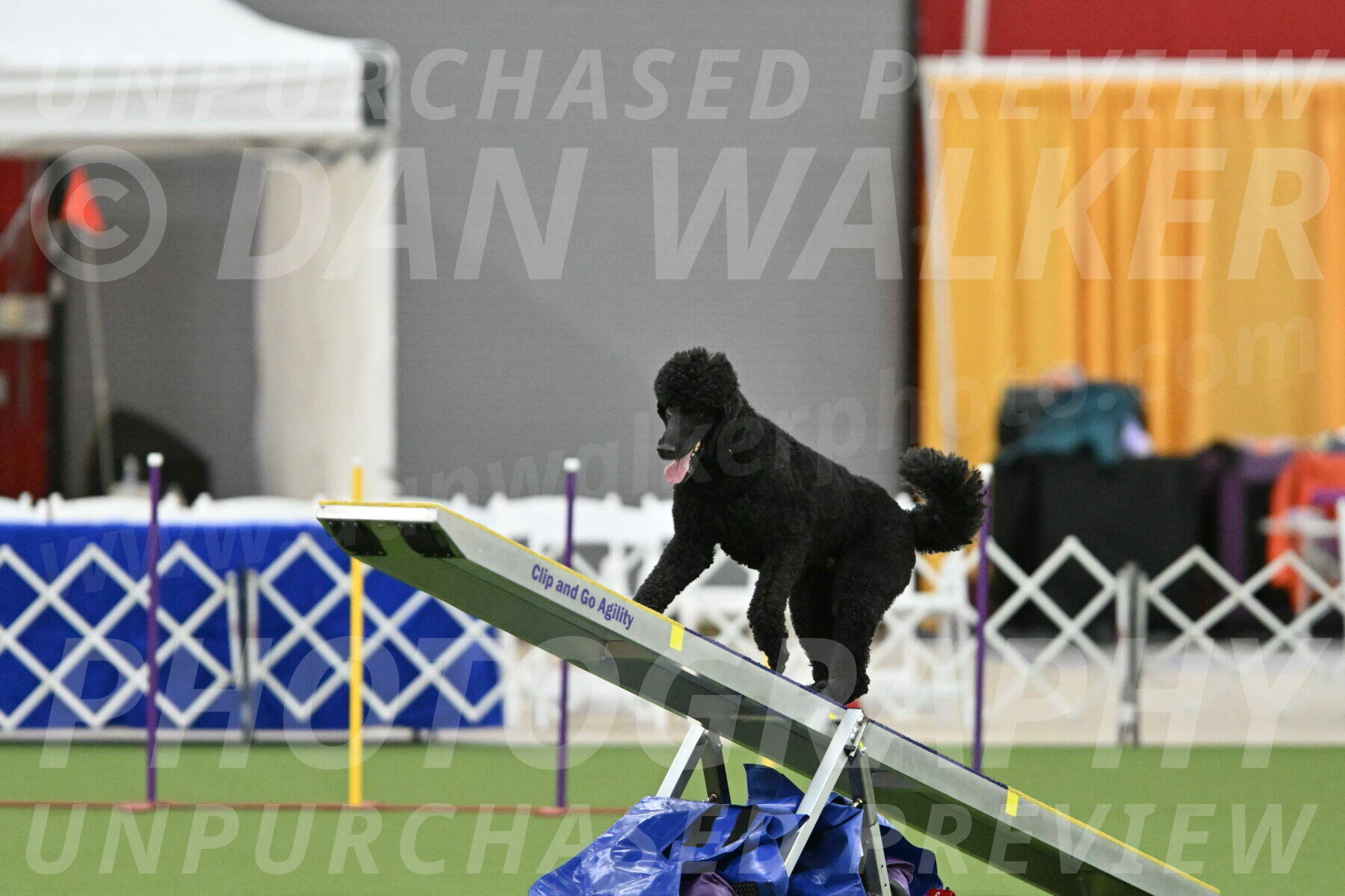 MAS-EX-STD-24-Inch_7730