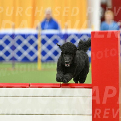 MAS-EX-STD-24-Inch_7735