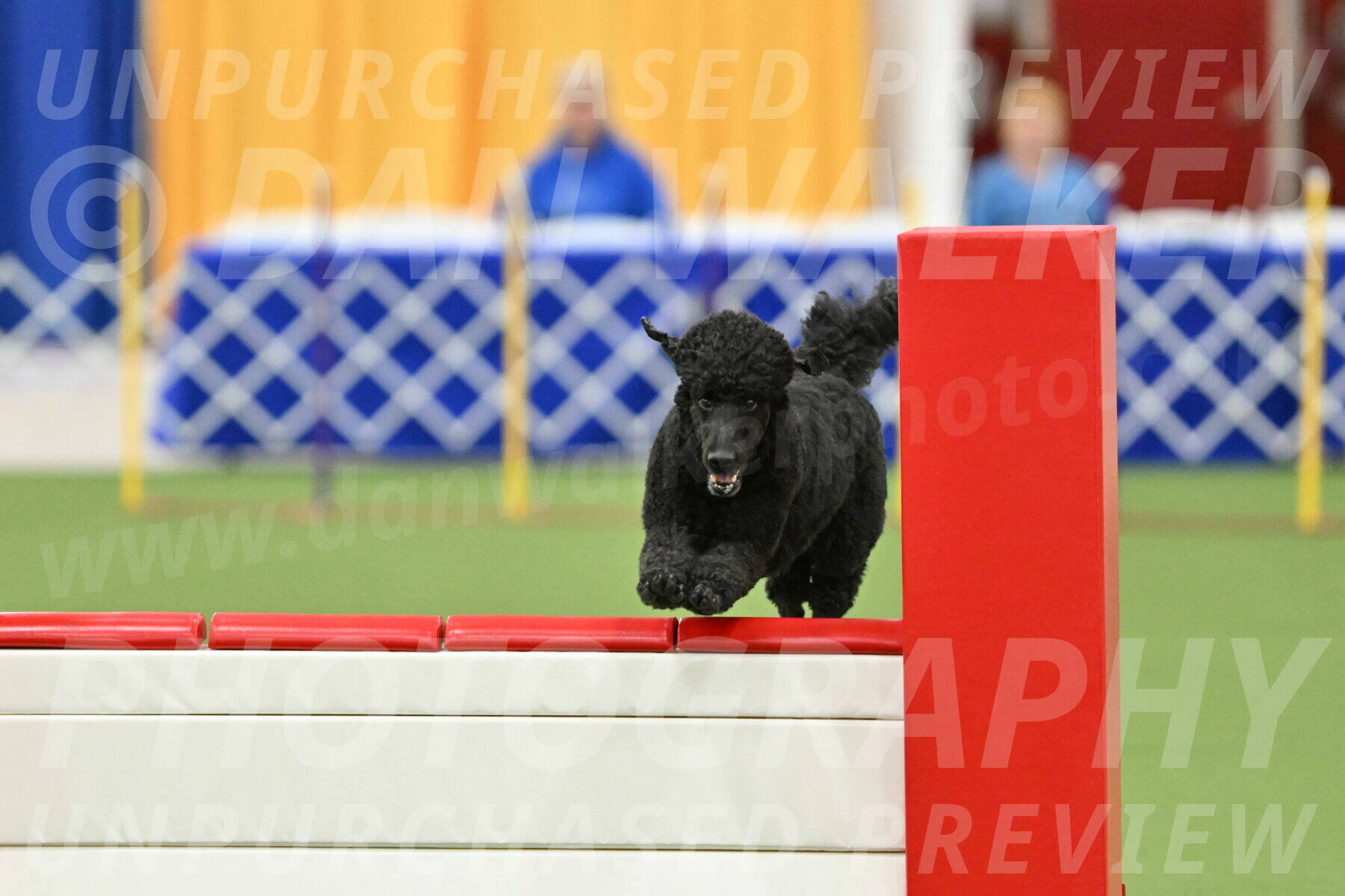 MAS-EX-STD-24-Inch_7735