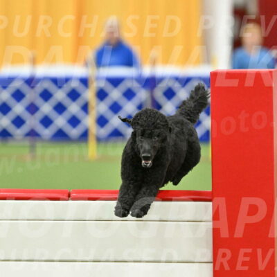 MAS-EX-STD-24-Inch_7736