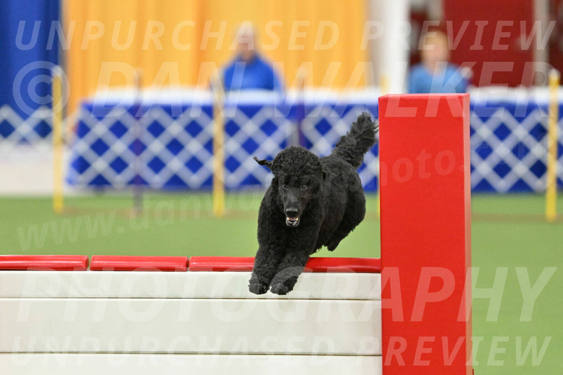 MAS-EX-STD-24-Inch_7736