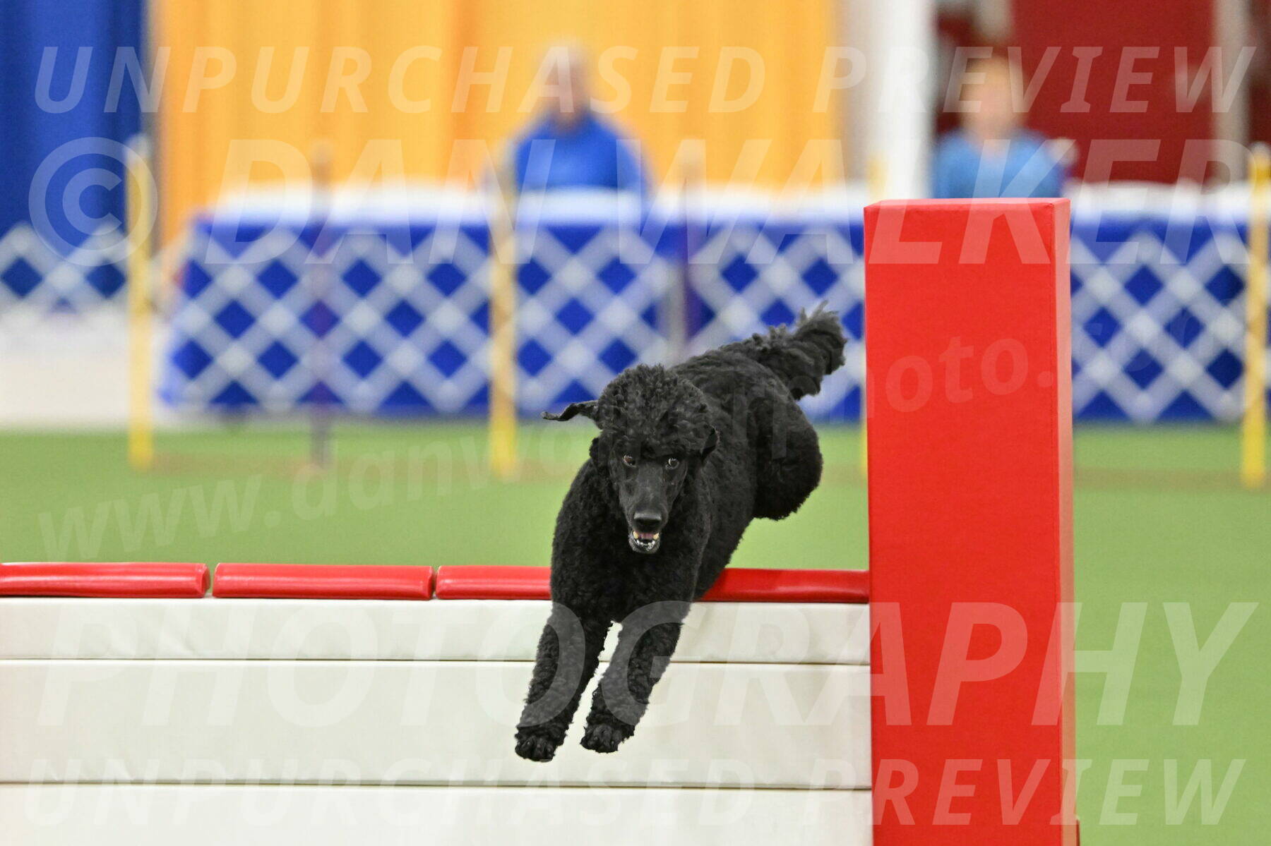 MAS-EX-STD-24-Inch_7737