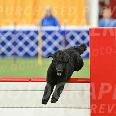 MAS-EX-STD-24-Inch_7737