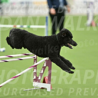 MAS-EX-STD-24-Inch_7743