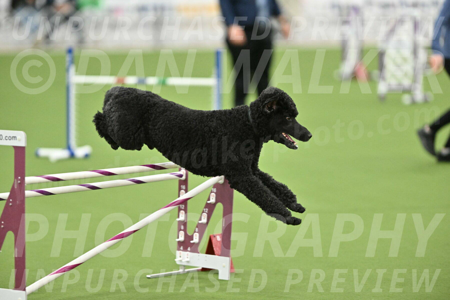 MAS-EX-STD-24-Inch_7743