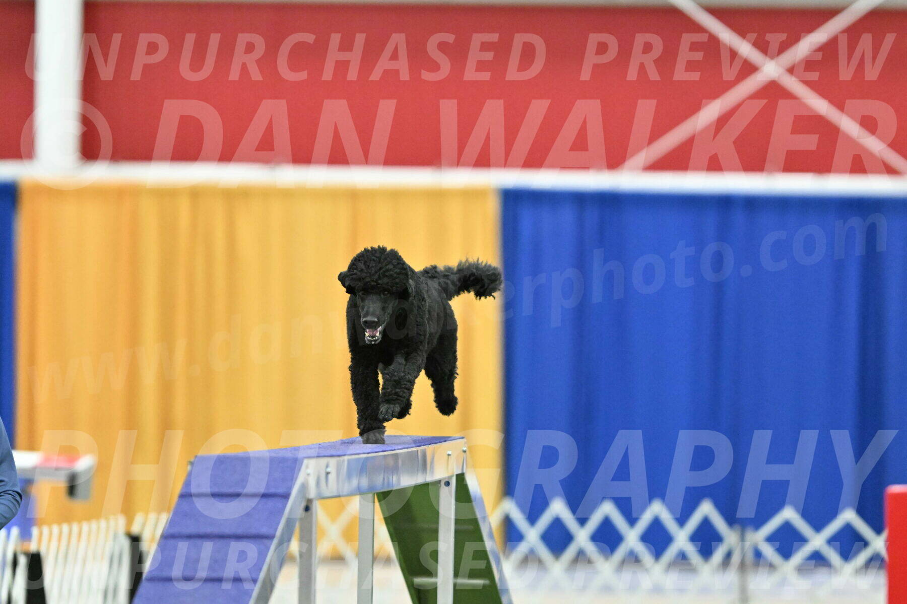 MAS-EX-STD-24-Inch_7744