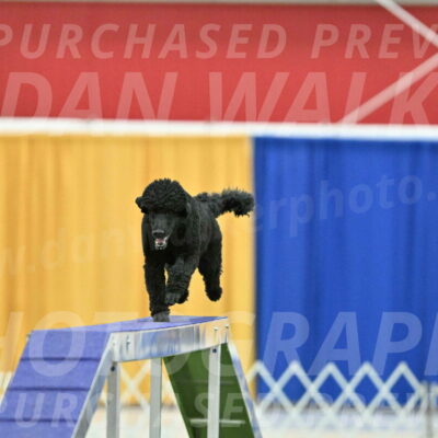 MAS-EX-STD-24-Inch_7744