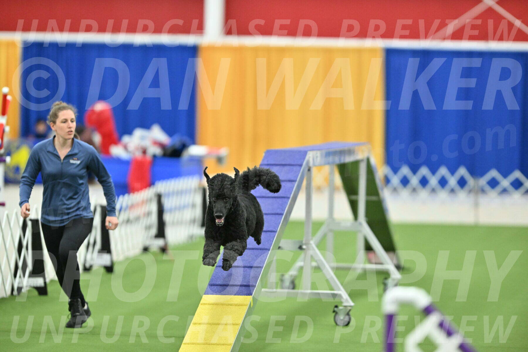 MAS-EX-STD-24-Inch_7749