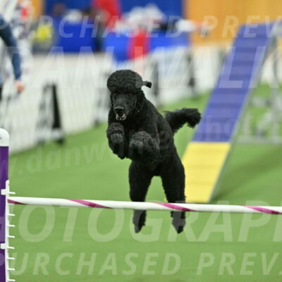 MAS-EX-STD-24-Inch_7756