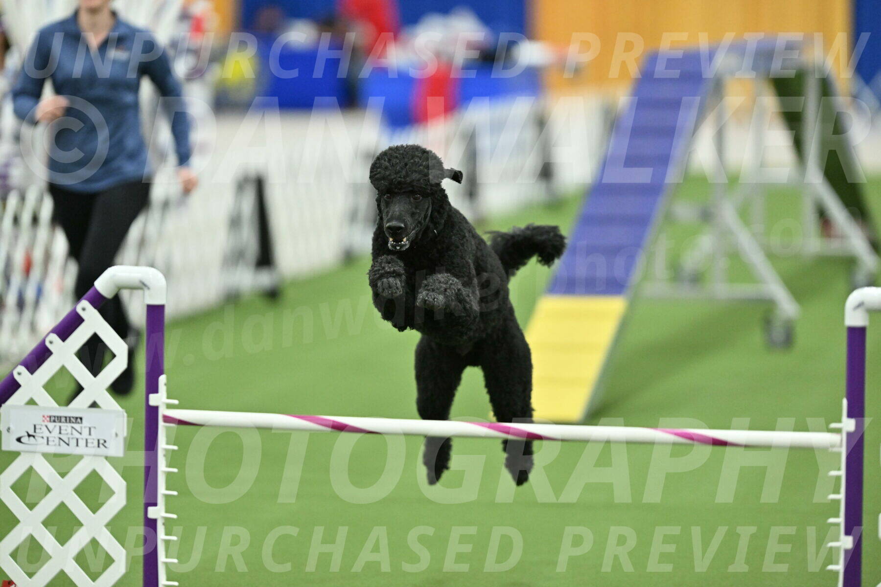 MAS-EX-STD-24-Inch_7756