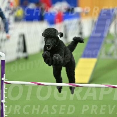 MAS-EX-STD-24-Inch_7757