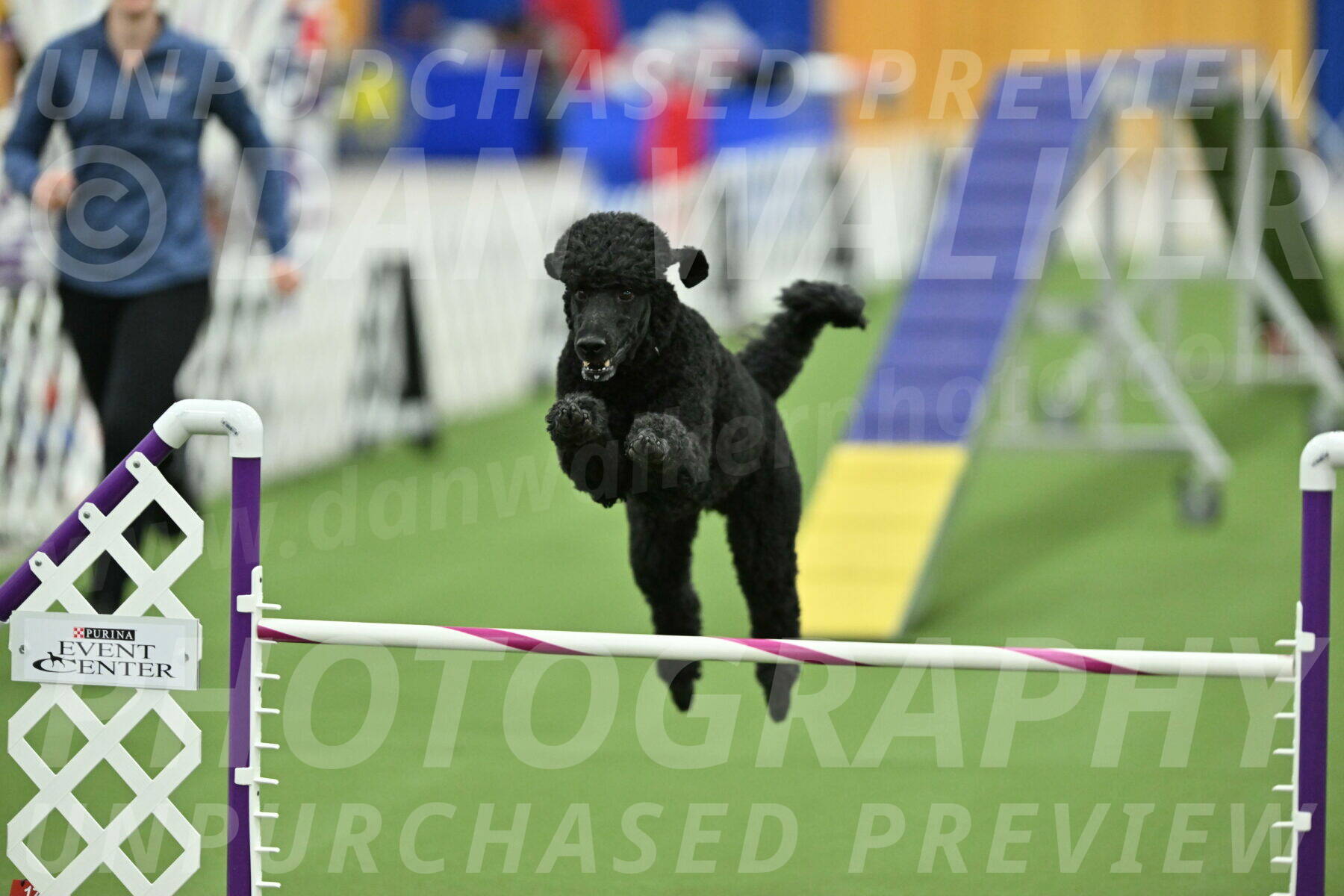 MAS-EX-STD-24-Inch_7757