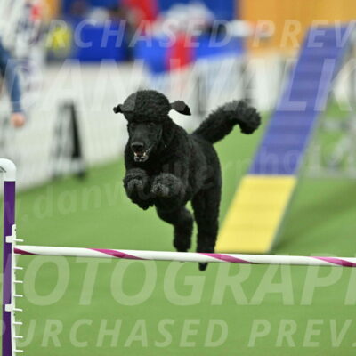 MAS-EX-STD-24-Inch_7758