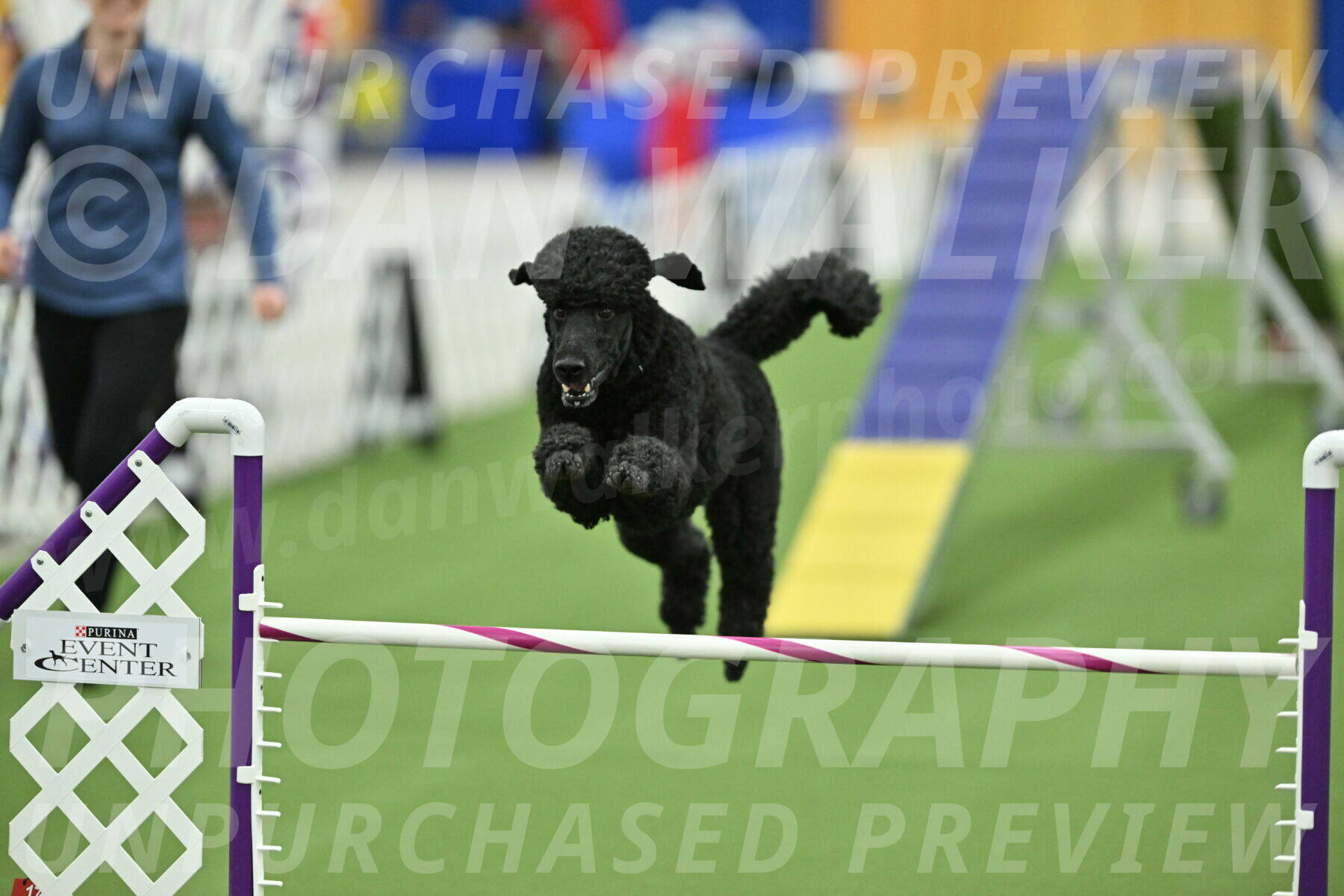 MAS-EX-STD-24-Inch_7758