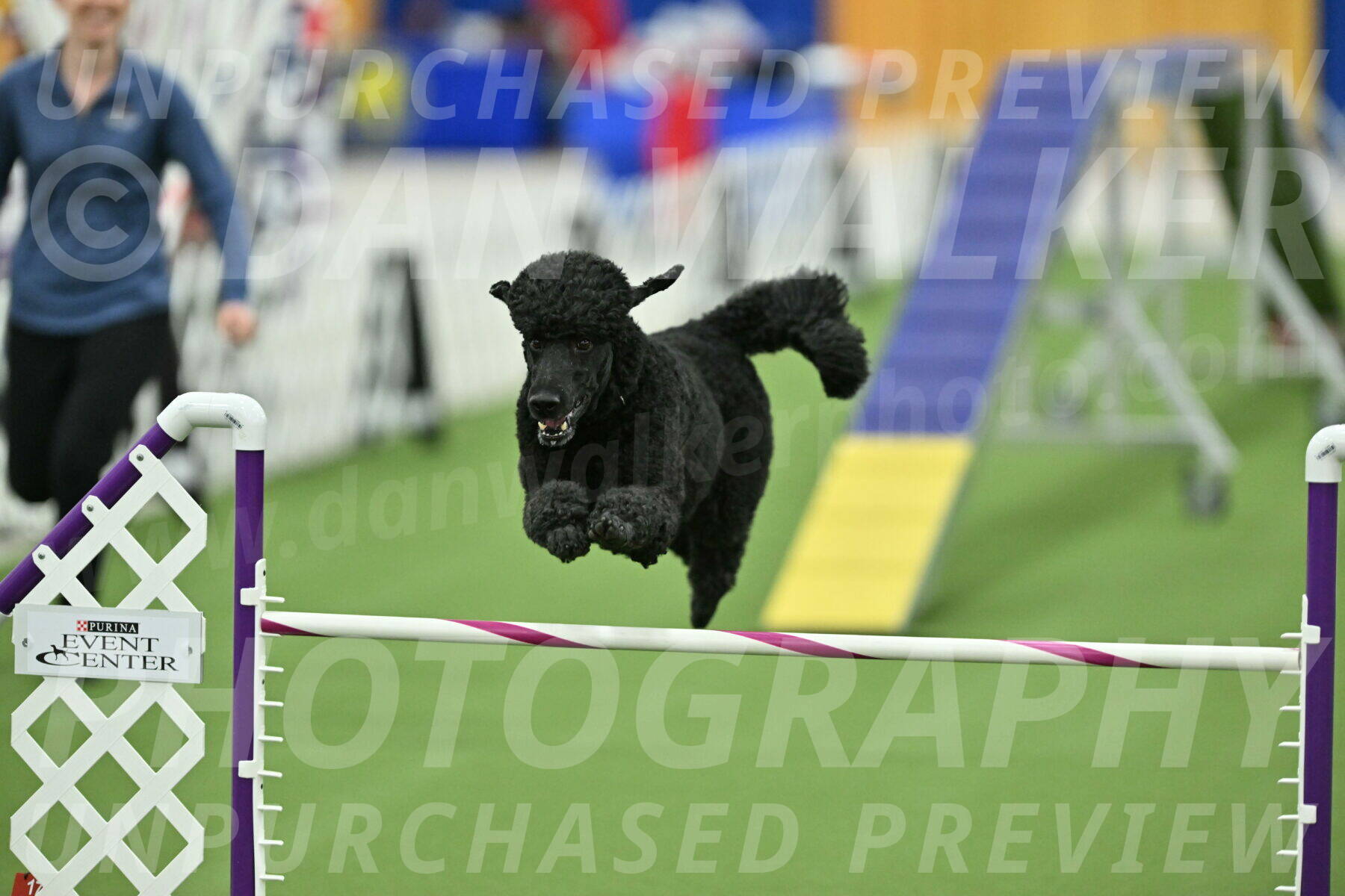 MAS-EX-STD-24-Inch_7759