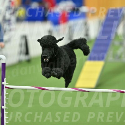 MAS-EX-STD-24-Inch_7759