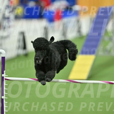 MAS-EX-STD-24-Inch_7760