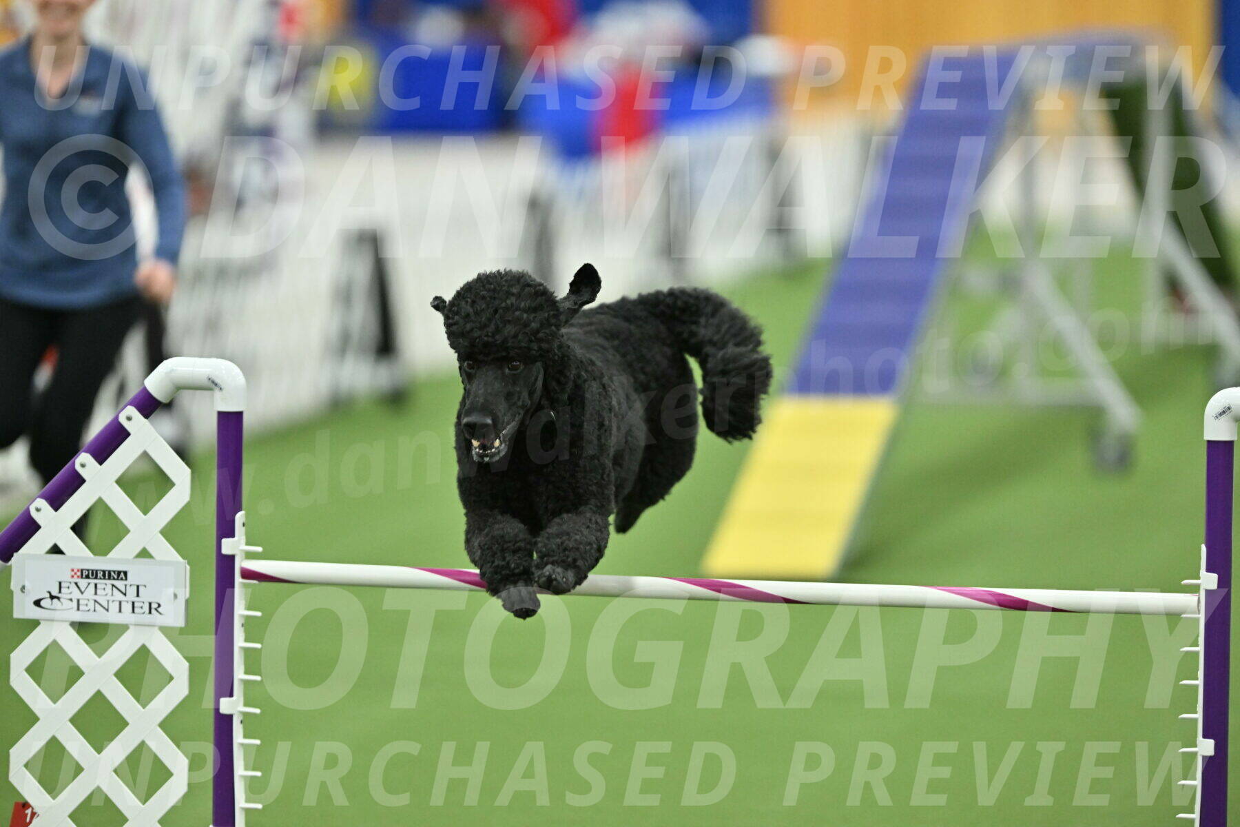 MAS-EX-STD-24-Inch_7760