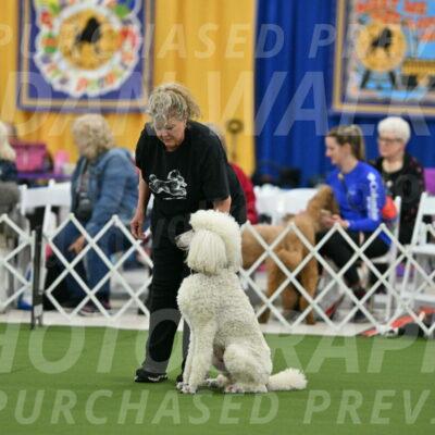 MAS-EX-STD-24-Inch_7763