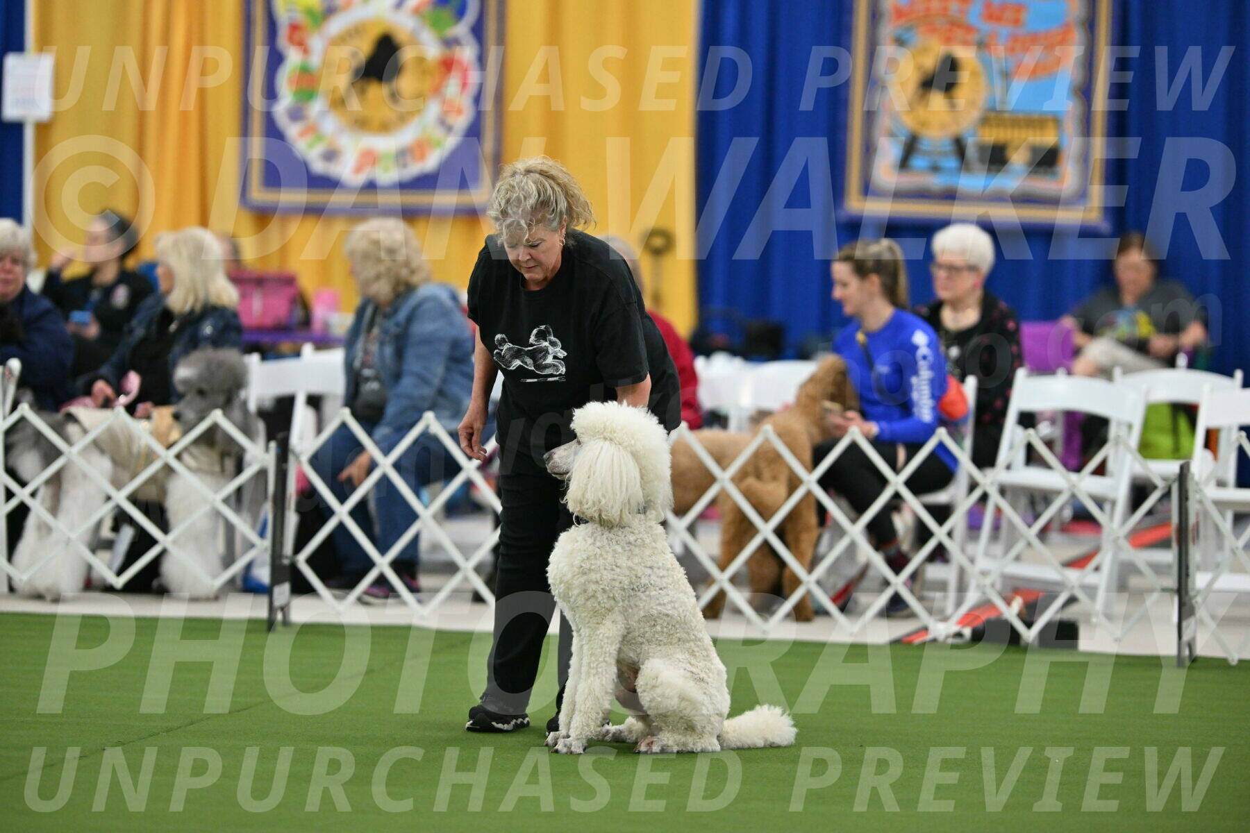 MAS-EX-STD-24-Inch_7763