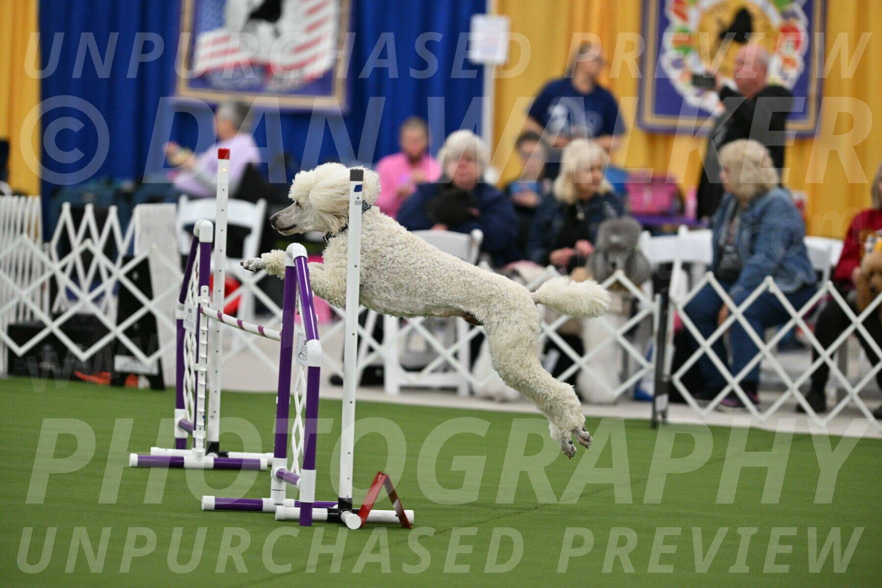 MAS-EX-STD-24-Inch_7770