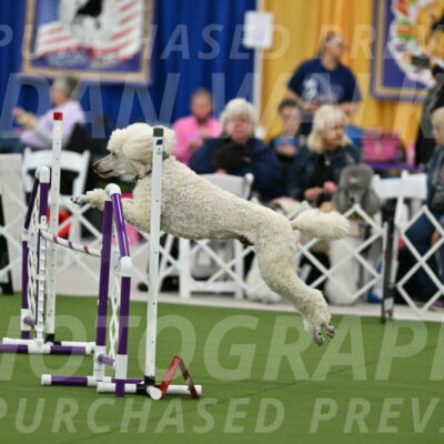 MAS-EX-STD-24-Inch_7770