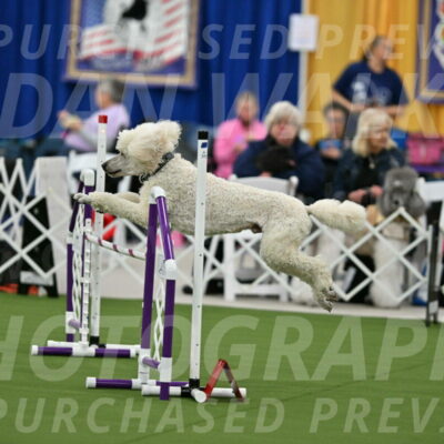 MAS-EX-STD-24-Inch_7771