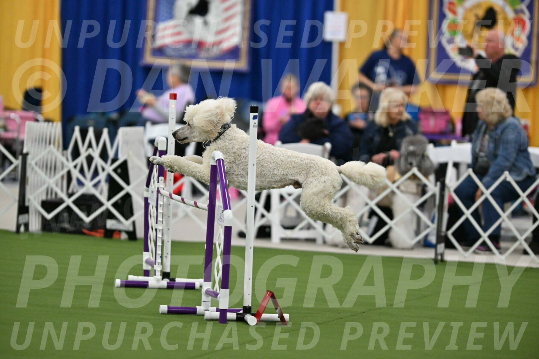 MAS-EX-STD-24-Inch_7771